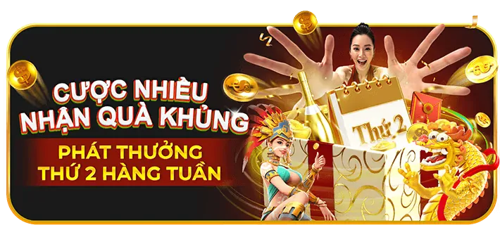 Khám phá khuyến mãi và phúc lợi vi84